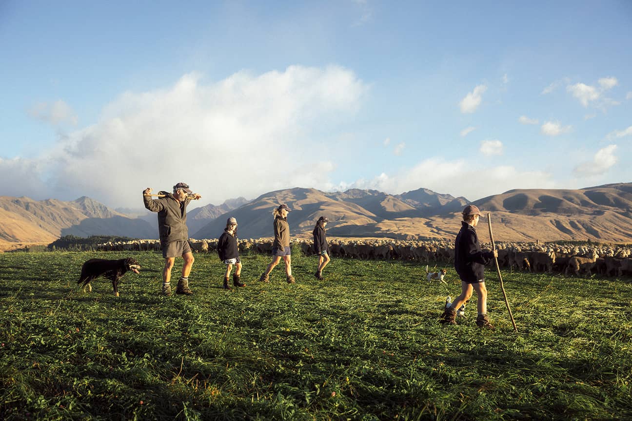 Familie Murray betreibt die Farm Glenmore Station am Lake Tekapo mit 14.000 Schafen, die auf 20.000 Hektar leben.